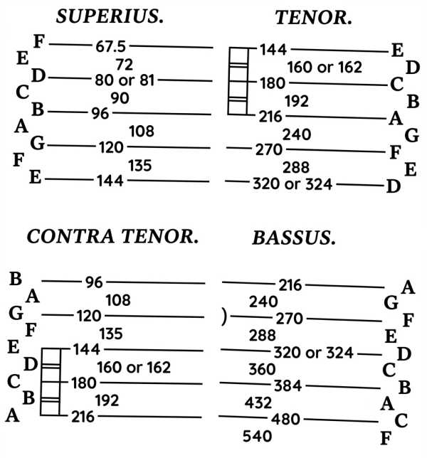Superius