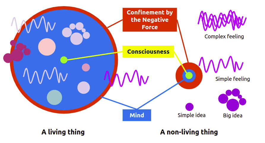 Life and The Nature of Mind