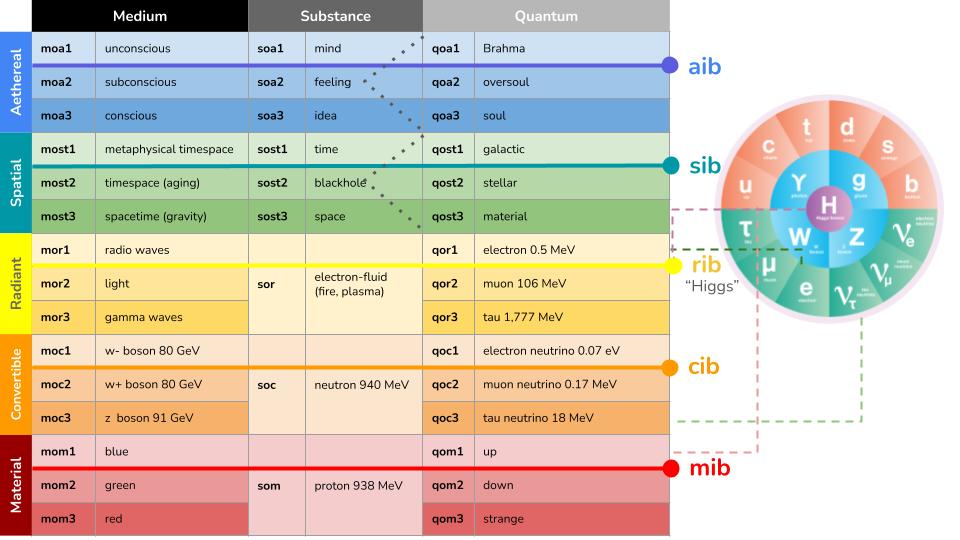 Layers and sublayers in the MSQ table