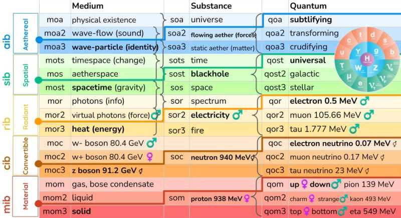 Layers and sublayers in the MSQ table