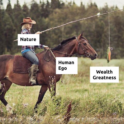 The Great Loop from Desire to Experience
