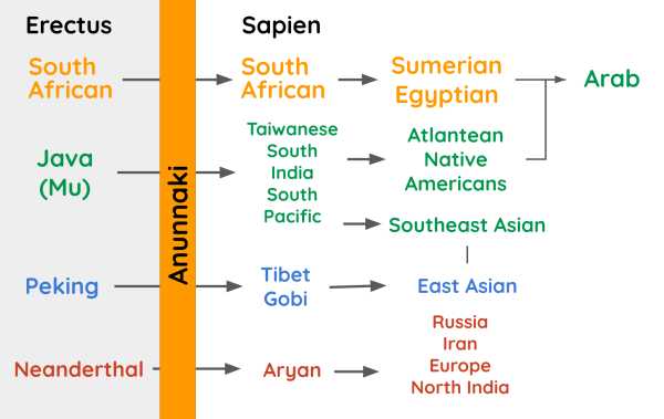 Human Genetics