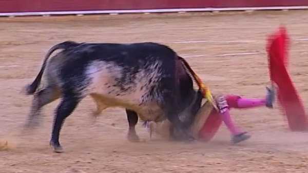 Bullfight